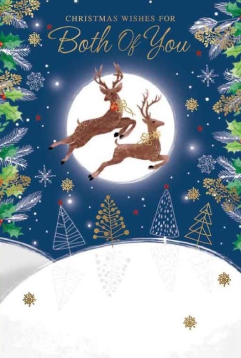 Reindeer Both Of You Christmas Card