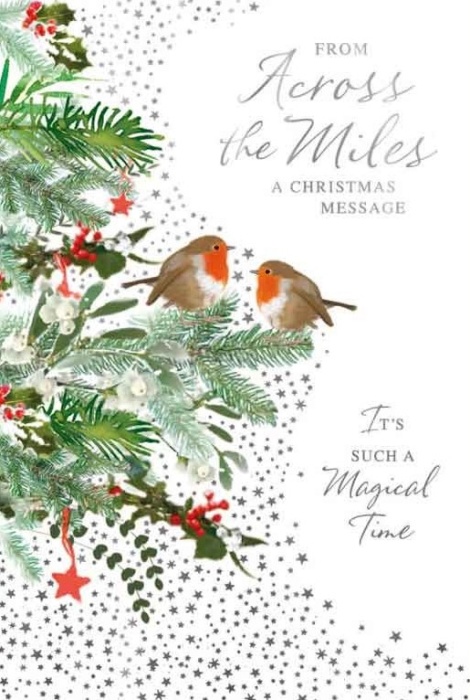 Two Robins Across The Miles Christmas Card