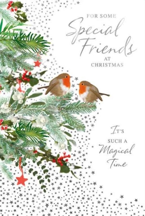 Two Robins Special Friends Christmas Card