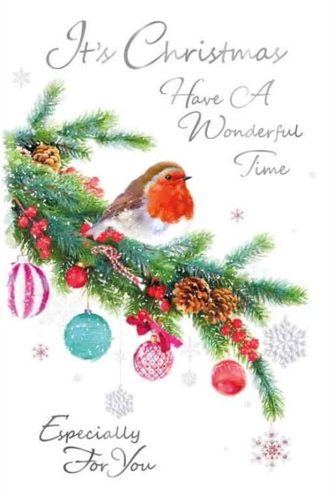 Christmas Robin Christmas Card