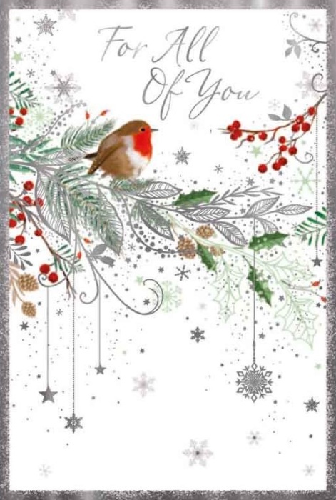 Robin & Berries All Of You Christmas Card