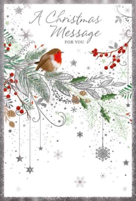 Robin & Berries Christmas Card